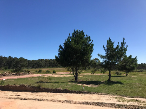 Imagen 2 de 9 de En Venta - Los Zorzales - Loteo De 30 Solares - Mza 423