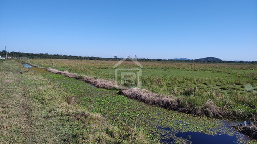 Imagem 23 de 30 de Fazenda Localizada Em Iguape- Sp Com 280 Alqueires - 262 - 71153412