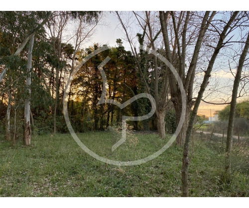 Imagen 3 de 8 de Lote De Terreno En Brandsen Proximo Al Centro