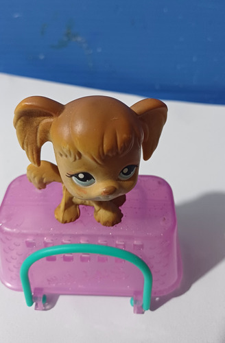 Juguetes Littlest Pet Shop Por 5 Unidades Colección (Usado)