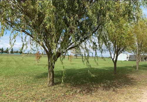 Imagen 2 de 4 de Lote A La Laguna En Campos De Roca Ii