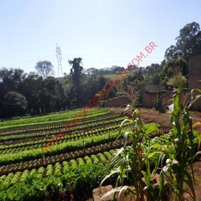 Imagem 5 de 5 de Venda - Chácara - Jardim Geriva - Santa Bárbara D'oeste - Sp - D3147