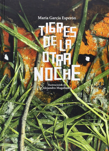 Tigres De La Otra Noche: (cartone), de Garcia Esperon, Magallanes. Editorial Fondo de Cultura Económica, edición 1 en español