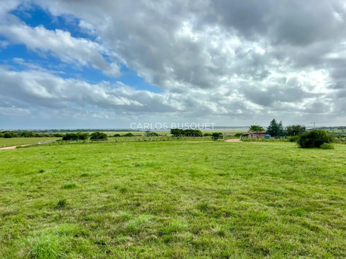 Chacra En Venta De 1 Ha. En Jose Ignacio, Zona Medellin