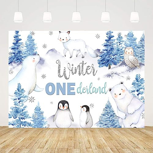 Ticuenicoa Winter Onederland Backdrop For Boys First NwwLG