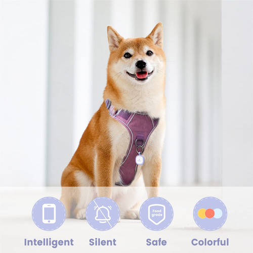 Etiqueta Identificación Mascotas Pawaii Código Qr Silicona Púrpura Nombre Del Diseño