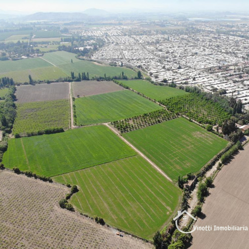 Parcela En Venta En San Felipe