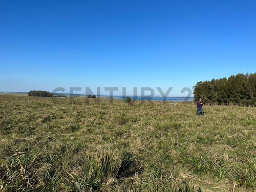 Chacra Marítima, Campo Próximo A La Laguna De José Ignacio, Maldonado/uruguay