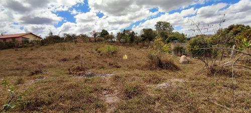 Imagem 14 de 15 de Lote Em Esmeraldas - Te00420 - 70076598