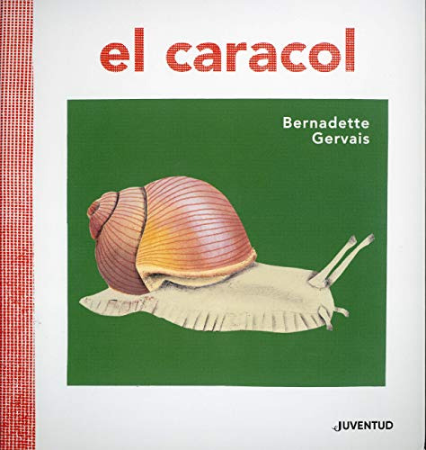 Libro Caracol El De Gervais Bernadette Grupo Continente