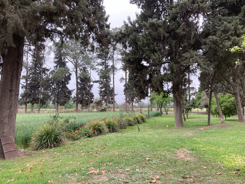 Campo Con Casa-galpones-riego-plantacion Trufas-corrales-maquinaria-muebles-oportunidad Única Para Invertir! Venta A Tranquera Cerrada.