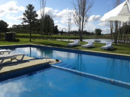 Imagen 5 de 30 de Quinta En Venta De 16 Dormitorios En Golf De La Barra (ref: Atm-2521)