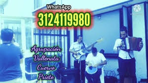 Imagen 7 de 10 de 3124119980 Parranda Vallenata En Melgar Y Carmen De Apicala