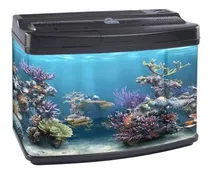 Comprar Acuario Vidrio Curvo Filtracion E Iluminacion Peceras Dm600