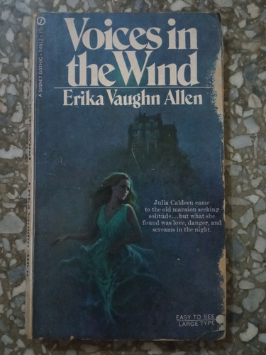 Voices The Wind - Erika Vaughn Allen