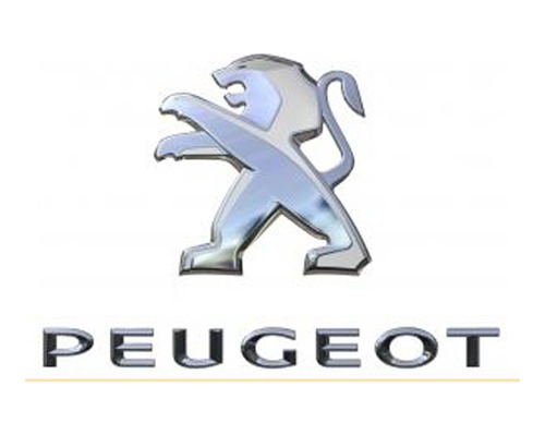 Letras Peugeot Y Leon Baul Peugeot 2008 1.6 Feline