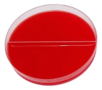 Comprar Agares, Medios De Cultivo, Microbiología