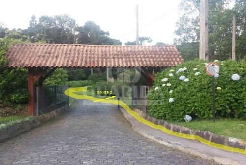 Imagem 1 de 13 de Terreno Comercial - Bosque Sinoserra - Ref: 193961 - V-193962