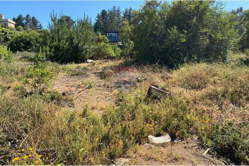 Terreno 1.500m² Alta Plusvalía En Reñaca Los Pinos