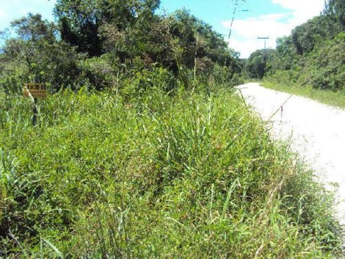 Imagem 2 de 3 de Ótimo Sítio Em Itanhaém, Com 8 Hectares, 80.000 M² De Área Total
