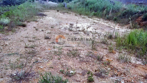 Imagem 4 de 6 de Belíssimo Terreno À 2 Km Do Asfalto!