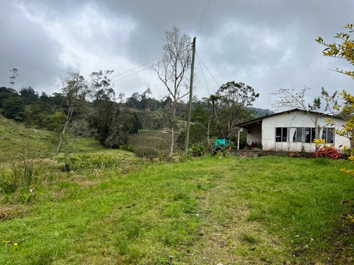 Finca Para Producir Agricola