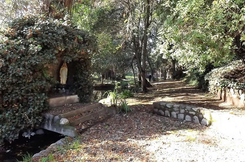 Sitio En Venta En Mostazal