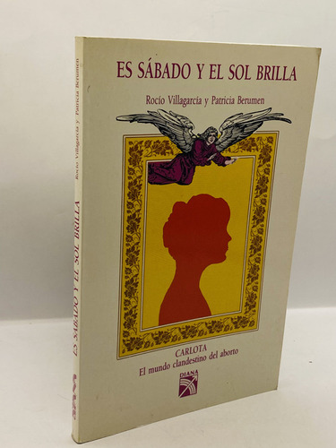 Es Sabado Y El Sol Brilla Rocio Villagarcia