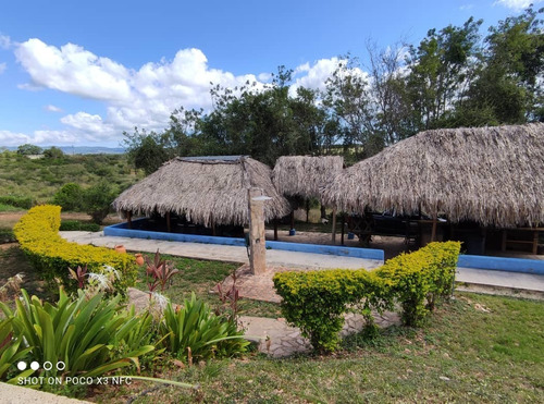 Imagen 17 de 28 de Venta De Hermosa Finca En El Estado Lara