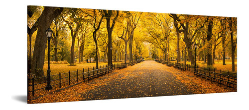 Nachic Wall Nueva York Central Park - Cuadro De Pared Modern