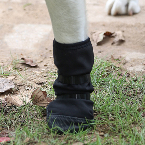 Bota De Recuperación De Heridas Para Perros Fundas Para Pata