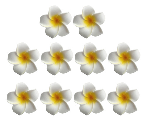 Accesorios Para El Cabello Con Forma De Flor, Diseño De Fran