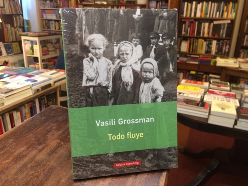 Todo Fluye - Vasili Grossman