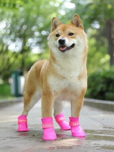 Zapato Bota Antideslizante Impermeable Para Mascota Perro