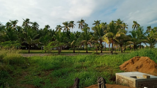 Imagen 15 de 20 de Suite En Playa Con Terreno Junto Al Mar En La Hermosa Costa Michoacana Preve
