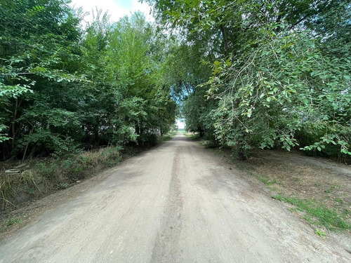 Imagen 5 de 5 de Terreno En Venta - Necochea Oportunidad