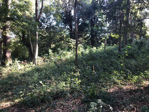 Imagem 2 de 10 de Chácara À Venda, 5000 M² Por R$ 750.000,00 - Jardim São Roque Iii - Foz Do Iguaçu/pr - Ch0007