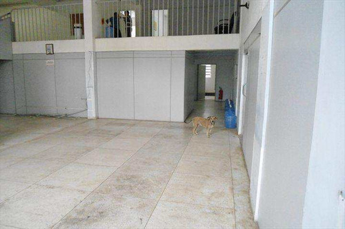 Imagem 8 de 15 de Galpão, Chácara Do Solar I (fazendinha), Santana De Parnaíba - R$ 4 Mi, Cod: 115300 - V115300
