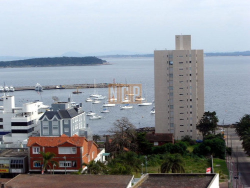 Imagen 1 de 27 de Apartamento En Peninsula, 3 Dormitorios *