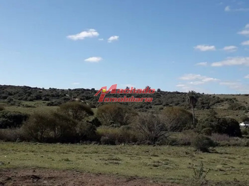Imagen 11 de 15 de Venta De Chacra De 5 Hectareas En Paraje Las Cañas
