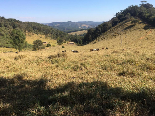 Imagem 14 de 15 de Fazenda Para Venda Em Nova União, Antônio Dos Santos, 1 Dormitório, 1 Suíte - F22_1-1988975