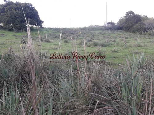 Venta Chacra Jose Ignacio 2 Has - Ref: 19207