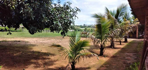 Linda Chácara Em Brazlandia Df