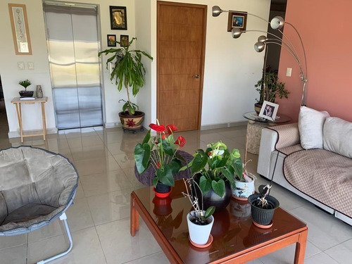 Imagen 7 de 26 de Departamento Amueblado 2 Recámaras En Bosque Real