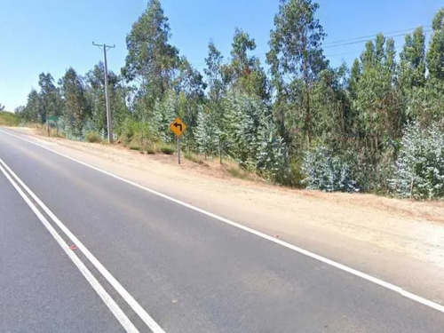 Predio Agricola De 4,67 Ha, La Palma, Curepto (80807)