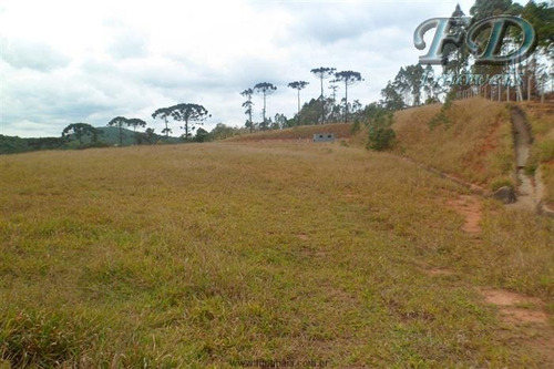 Imagem 1 de 26 de Áreas Industriais À Venda Em Mairiporã/sp - Compre O Seu Áreas Industriais Aqui! - 1428584