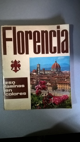 Florencia Arte Italiano 250 Láminas En Colores