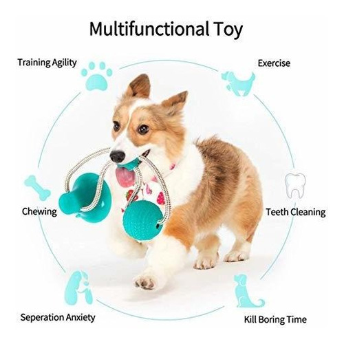 Wxhny Dog Rrtoys Suministros Para Mascotas Juguetes Interact