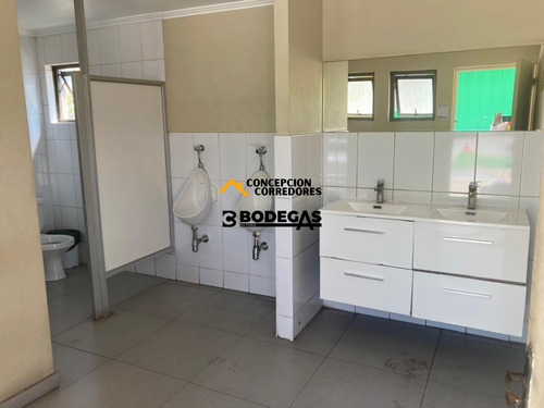 Arriendo Bodega De 1616 M2 En Pi Lo Boza.