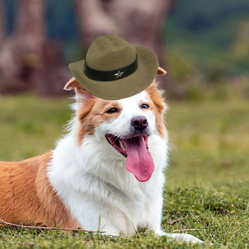 Sombrero De Vaquero Para Perros, Sombrero De Vaquero , Caqui